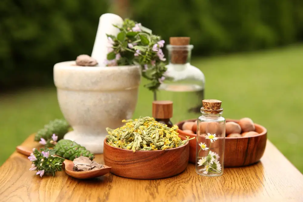 Medical & Wellness